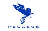 Pegasus